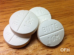 Bute horse anti-inflamatory